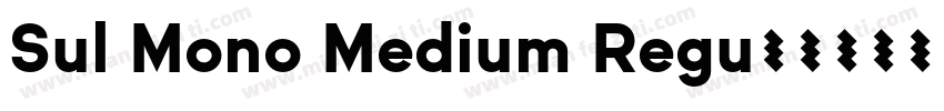 Sul Mono Medium Regu字体转换